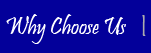 Why should you choose AG Horse Transport